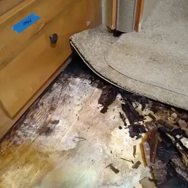 Wood Floor Water Damage in Savoy, IL